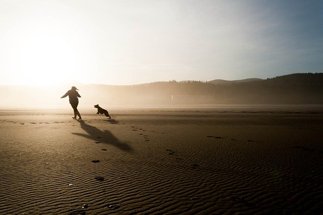 Best dog beaches in Marbella