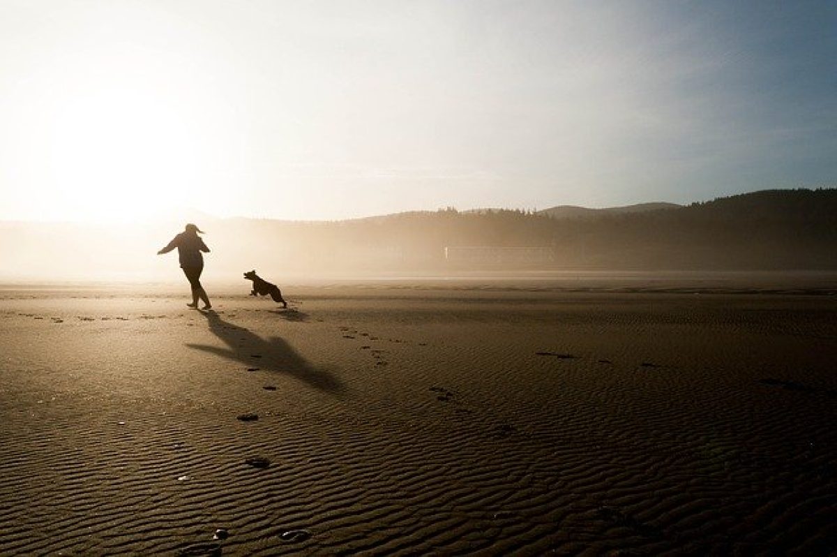 Best dog beaches in Marbella